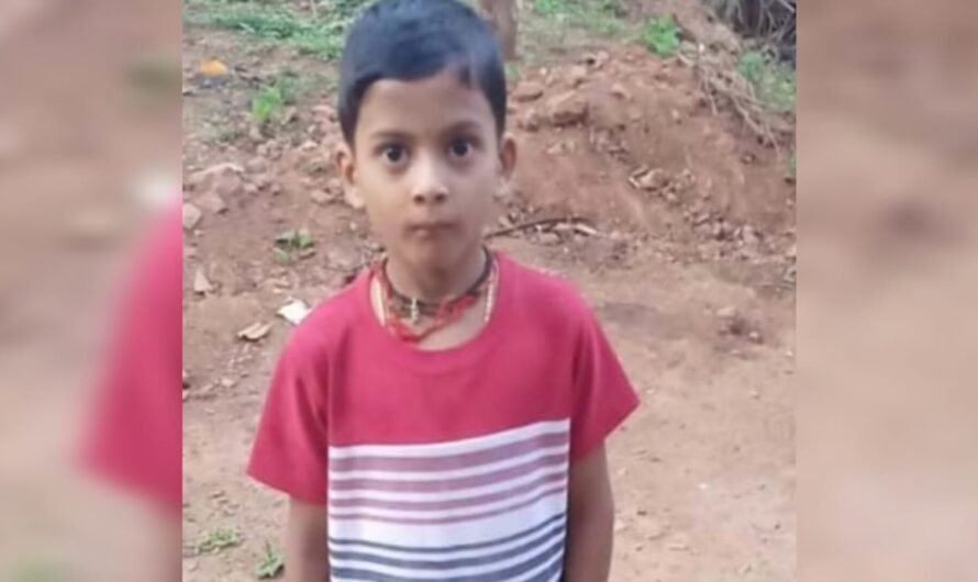 ಸಾಗರ: ಕಡಜ ಹುಳ ಕಡಿದು 2ನೇ ತರಗತಿಯ ವಿದ್ಯಾರ್ಥಿ ಮೃತ್ಯು!